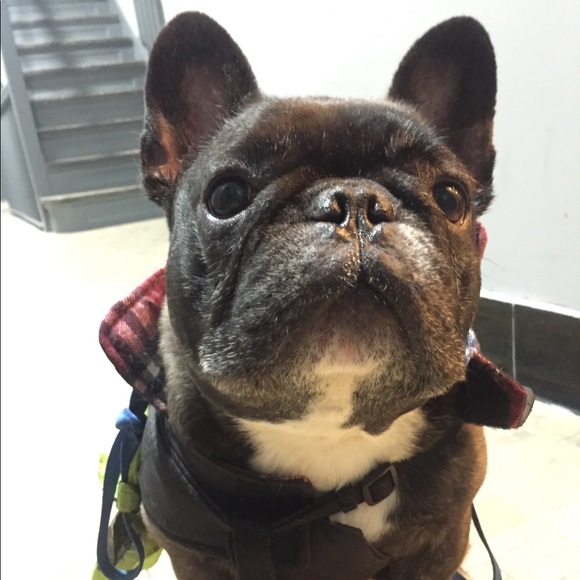 Meet your Posher, Jennie - Picture 1 of 1